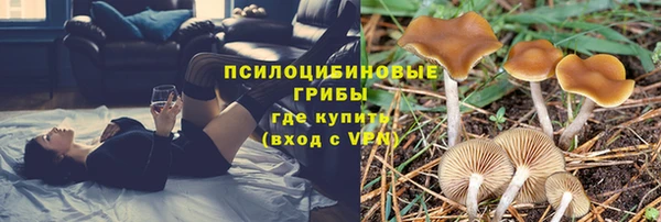 mdpv Алзамай