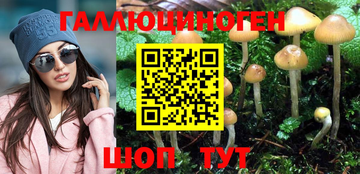 Галлюциногенные грибы прущие грибы  закладка  Псилоцибиновые грибы MAGIC MUSHROOMS  Апатиты 