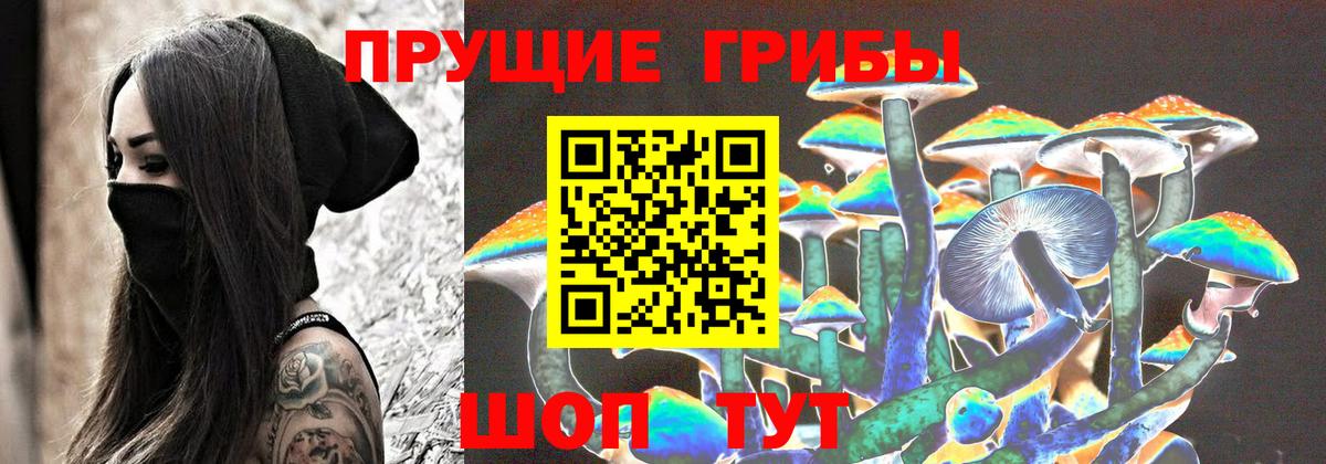 Галлюциногенные грибы Cubensis Апатиты