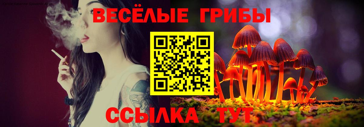 Галлюциногенные грибы мухоморы Апатиты